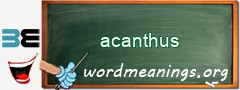 WordMeaning blackboard for acanthus